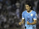 Edinson Cavani z Uruguaye se raduje z trefy proti Kolumbii.