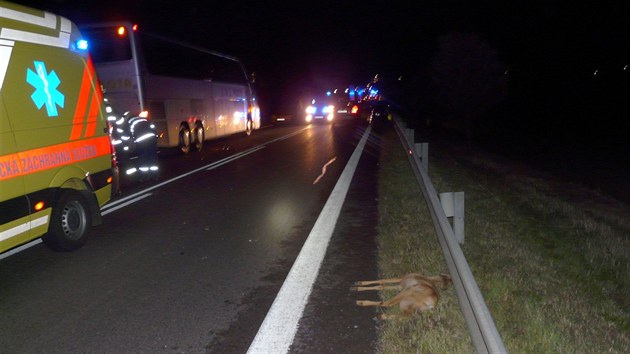 Dv nehody zastavily provoz na hlavnm tahu ze Znojma do Jihlavy. Zavinila je srna. (13. z 2013)