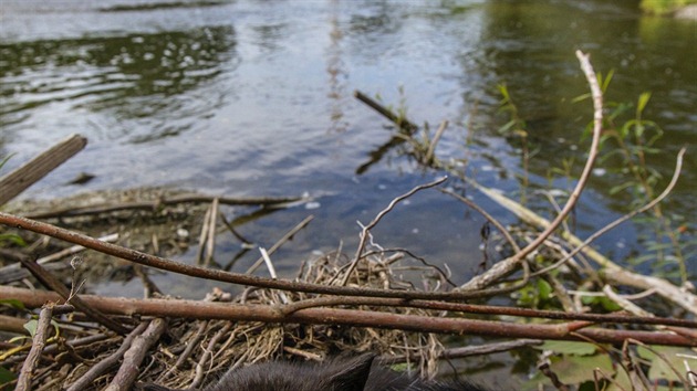 Krajina Pood, kudy by mla vst severn vtev kanlu Dunaj - Odra - Labe.