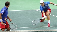 SKVLÝ TÝM. Tomá Berdych a Radek tpánek po roce opt vybojovali finále Davis Cupu. Zvládnou obhájit titul?