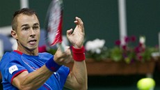 Luká� Rosol p�i daviscupovém semifinále proti Horaciu Zeballosovi z Argentiny.