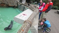 Zoo Jihlava pvodn chovala trojici tule. Zbyl jediný samec a i ten bude  kvli problémm s krmením  v druhé polovin února odvezen do Itálie.