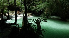 Vodopády Kuang Si v provincii Luang Prabang, Laos