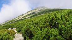 Výstup na Slavkovský �tít: kosod�evina, kameny a p�edvrcholy