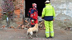 Své síly zmili v pátek a v sobotu na Prostjovsku psovodi se svými psy pi