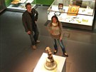 Výstava Znamení vertikál v opavském Slezském zemském muzeu, kde byly svezeny z...