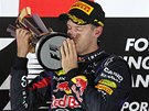 DALÍ TRIUMF. Velkou cenu Singapuru ovládl Sebastian Vettel.