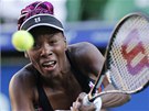 TA ALE DÁVÁ RÁNY! Venus Williamsová v utkání s eskou tenistkou Petrou Kvitovou