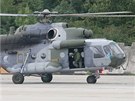 Transportn vrtulnky armdy se rozlouily s letitm v Bochoi peletem nad...