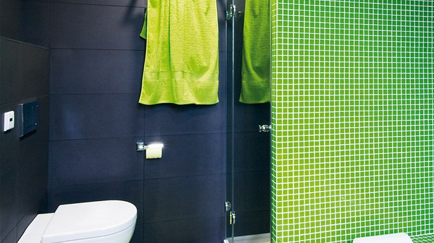 Koupelna je obložena velkoformátovými keramickými obklady a skleněnou mozaikou. Kombinace rozdílných materiálů, formátů i barev je velmi zajímavá. 

 
