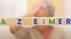 Sv�t �eká v následujících t�ech desítkách let kv�li stárnutí populace epidemie...