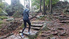 P�ínos odlesn�ní má být podle Hlavá�e nejen ve zvý�ení turistické atraktivity,...