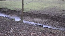 Zv, kterou majitel honitby lákal do jedné lokality, zniila les. Takto zde byly okousané stromy.