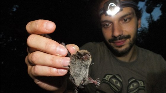 Evžen Tošenovský ukazuje netopýra vodního při kontrolním odchytu v areálu