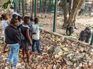 V rámci projektu Toulavý autobus vozí Zoo Praha děti z odlehlých pralesních