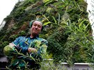 Francouzský designér a botanik Patrick Blanc vynalezl ped 25 lety zelené stny.