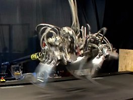 Robot Cheetah při svém rekordním běhu na jaře 2012. Jeho okamžitá rychlost 27,3...