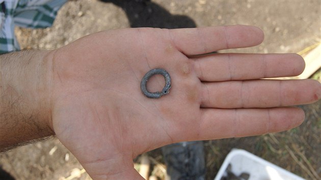Esovitá záušnice z 11. století nalezené v lokalitě Nesvětic.