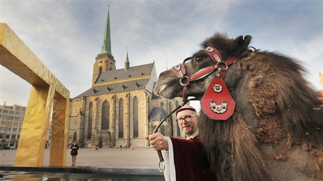 Dvouhrbho velblouda pidal Plzeanm do znaku Zikmund Lucembursk pot, co obyvatel msta tohoto "saracnskho erta" vzali husitm, kte oblhali msto v roce 1433 (4. jna)