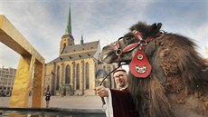 Dvouhrbého velblouda p�idal Plze�an�m do znaku Zikmund Lucemburský poté, co...