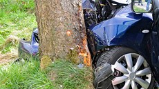 Nehoda se stromem