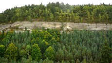 Pískovcové skály v Ralsku obklopují husté smíené lesy.