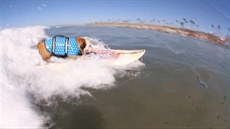Surfující psi v Kalifornii