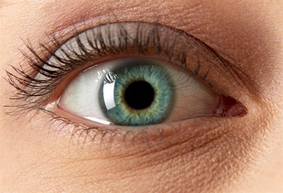 Na preventivní vyšetření zraku by měl každý chodit jednou za dva roky, radí lékaři (ilustrační fotografie)