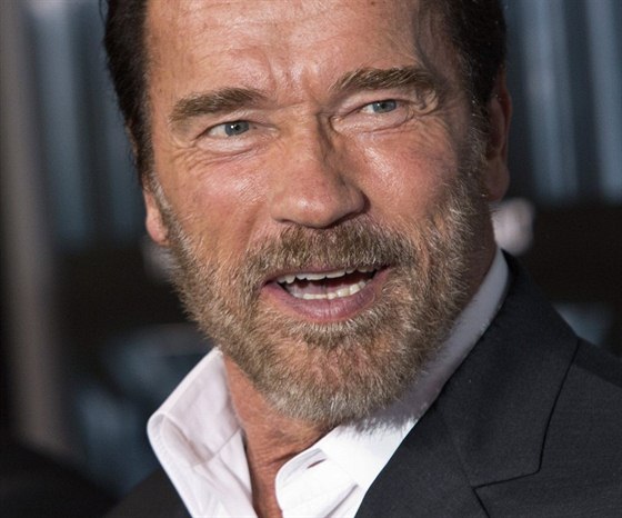 Arnold Schwarzenegger (15. října 2013)