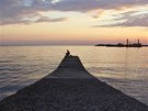 A man fishes on a pier at the beach in central Sochi September 19, 2013.