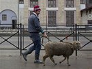 Migrant workers lead a sheep in the village of Krasnaya Polyana, a venue for...