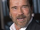 Arnold Schwarzenegger (15. íjna 2013)