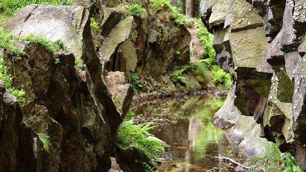 Kanál do Saska - i na české straně hranice najdete zbytky vodního kanálu, kterým se kdysi plavilo dřevo.