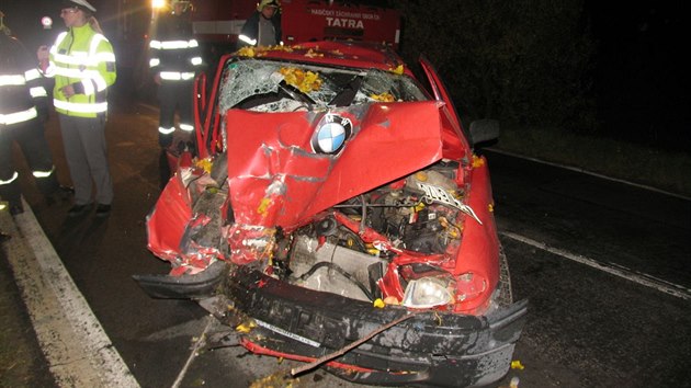 Tiadvacetilet mu za volantem se pi honice s polici snail "pedat volant" spolujezdci.