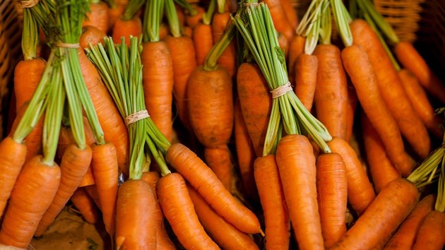 Ilustra�n� sn�mek