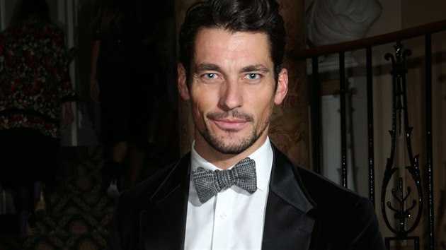 David Gandy (9. jna 2013)