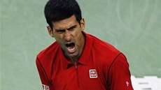 Novak Djokovi se raduje ve finálovém utkání s Del Potrem.