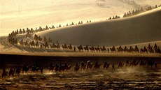 VELBLOUDI. B�hem �ínského národního svátku Zlatý týden nasedli cestovatelé v...