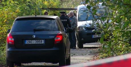 ásti rozzeaného lidského tla nali policisté ve Vltav loni na podzim. Pachatele dosud nemají