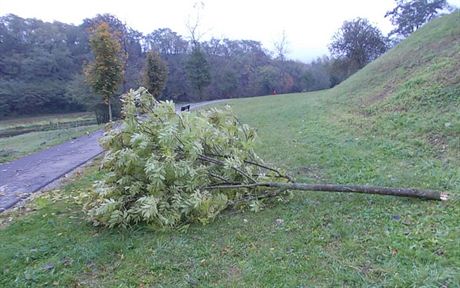 Písek dá pt tisíc tm, kteí podají svdectví, kdo na Jiráskov nábeí uízl...