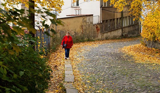 Dlouho jsem nechápala, co se stalo, pro mi brání, abych se s mámou vidla, píe tenáka.