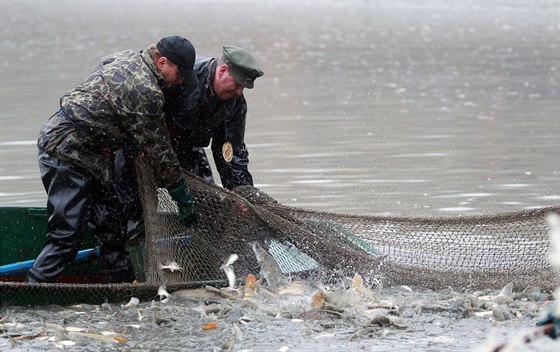 Výlov rybníka Ol�ovce. 