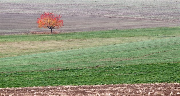 Pomoc úrodě i klimatu. Farmáři zkoušejí metody, jak dostat uhlík do půdy