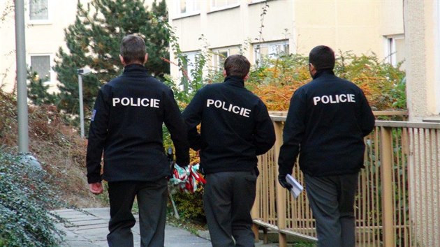 Policie (ilustra�ní foto)