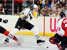 1995 - 1996. Hokejista Pittsburghu Penguins Jaromír Jágr pi utkání s...