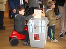 Lidé hlasují v předčasných volbách do Poslanecké sněmovny. (25. října 2013)