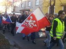 Shromádní a následný pochod radikál v Plzni (28. íjna 2013).