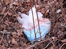 Mrtvá novorozená holika se nala u cesty na hrázi rybníka Drátovec u...