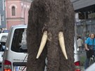 Figurína mamuta v ivotní velikosti má výku kolem tí metr.