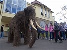Aby mamuta dostali dovnit, museli jej pracovníci muzea rozezat.